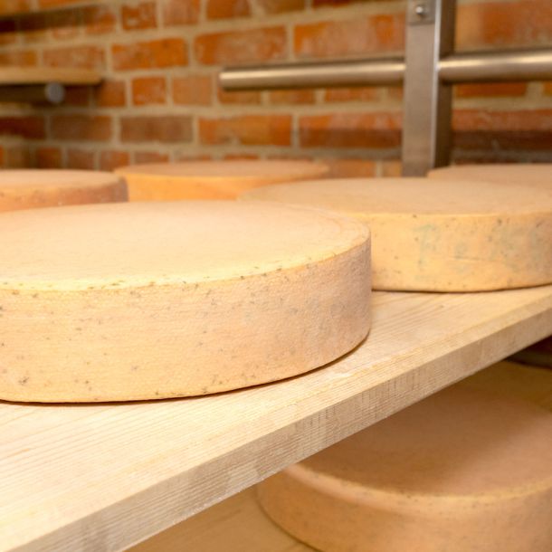 Biomilchhof Berl – Käse aus eigener Herstellung bei der Reife